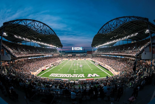 的平衡能力 的平衡能力