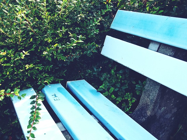 竞技与趣味 竞技与趣味