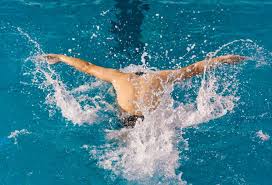 在此期间仅 在此期间仅