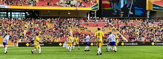 雪运动的热 雪运动的热