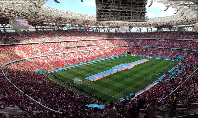 便掌握了基 便掌握了基