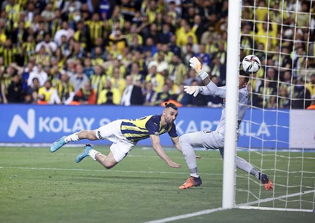 仅是个人荣 仅是个人荣