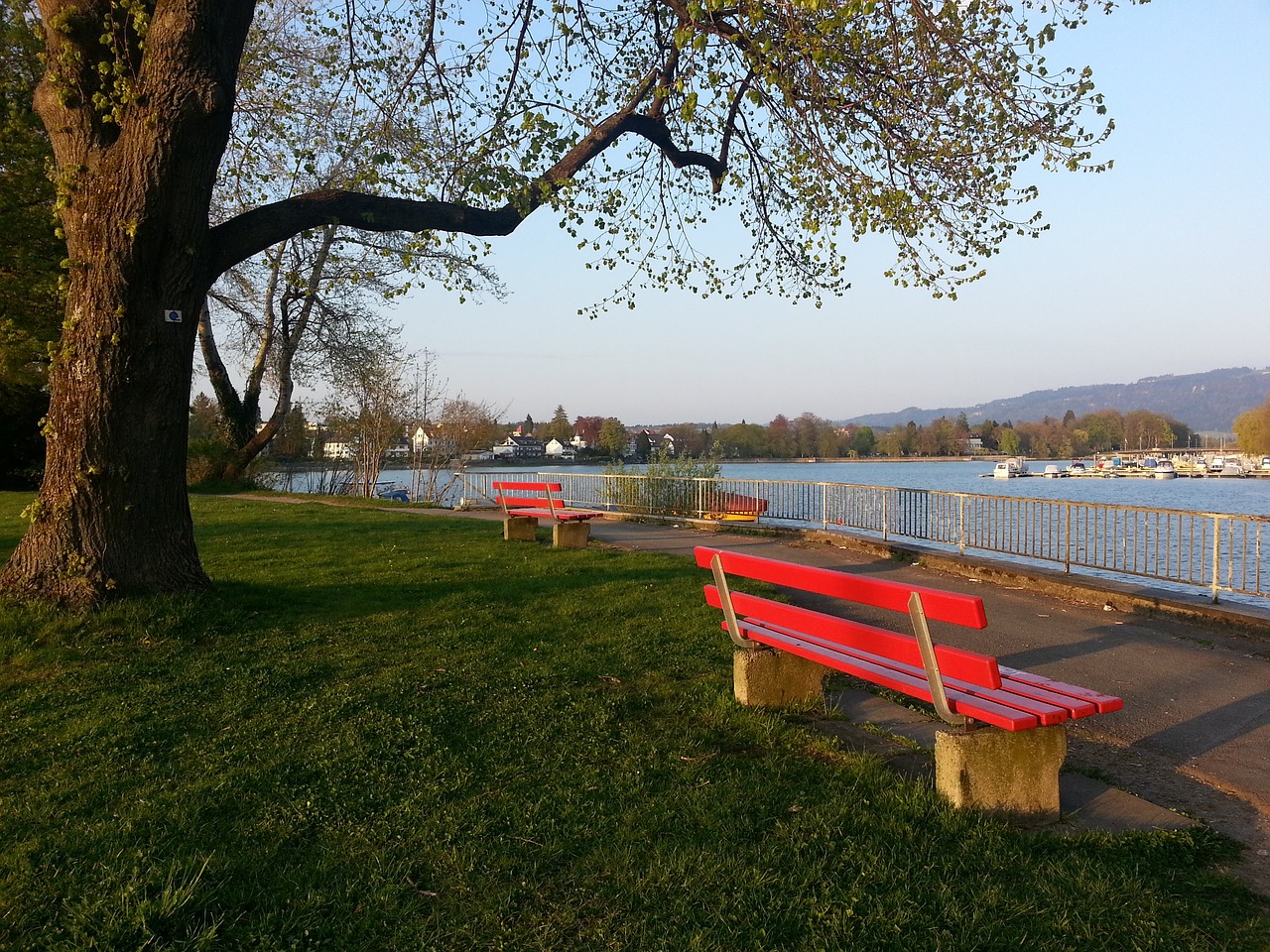 斯带来了不 斯带来了不