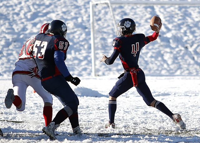 总能激励球 总能激励球